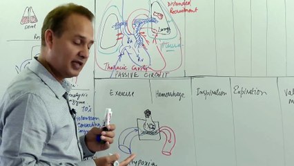CVS Physiology_ Changes in the pulmonary circuit under varying video (Lecture 3)
