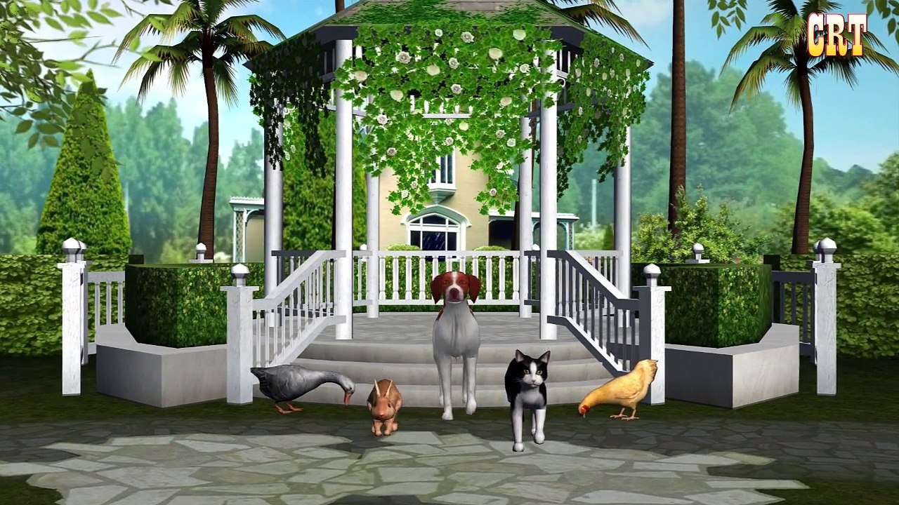 the dog finger family | nursery rhymes farmees | 3d rhymes | kids songs