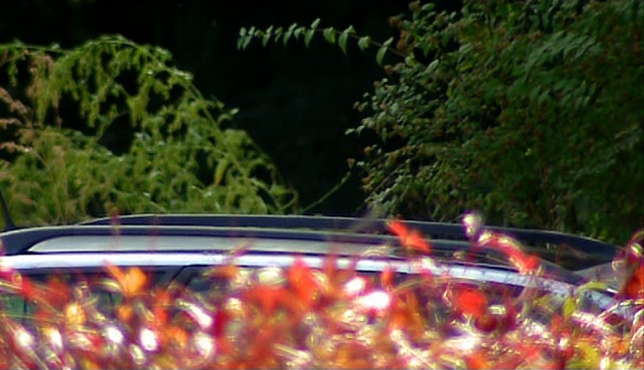 Kórház A Város Szélén 20 Év Múlva E10