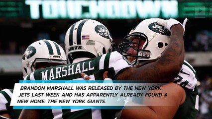 Brandon Marshall has reportedly signed with the New York Giants