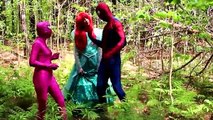 Spiderman Salva Rosa Spidergirl! w/ Frozen Elsa y Anna, Ariel Sirena y Maléfica! Superh