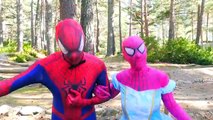 Человек-паук Человек-паук и розовая свадьба! Халк футов, смешной супергерой пародия кино в реальной жизни