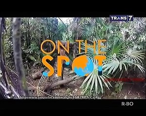Video Mengerikan Beri Makan Hewan Buas [On The Spot]