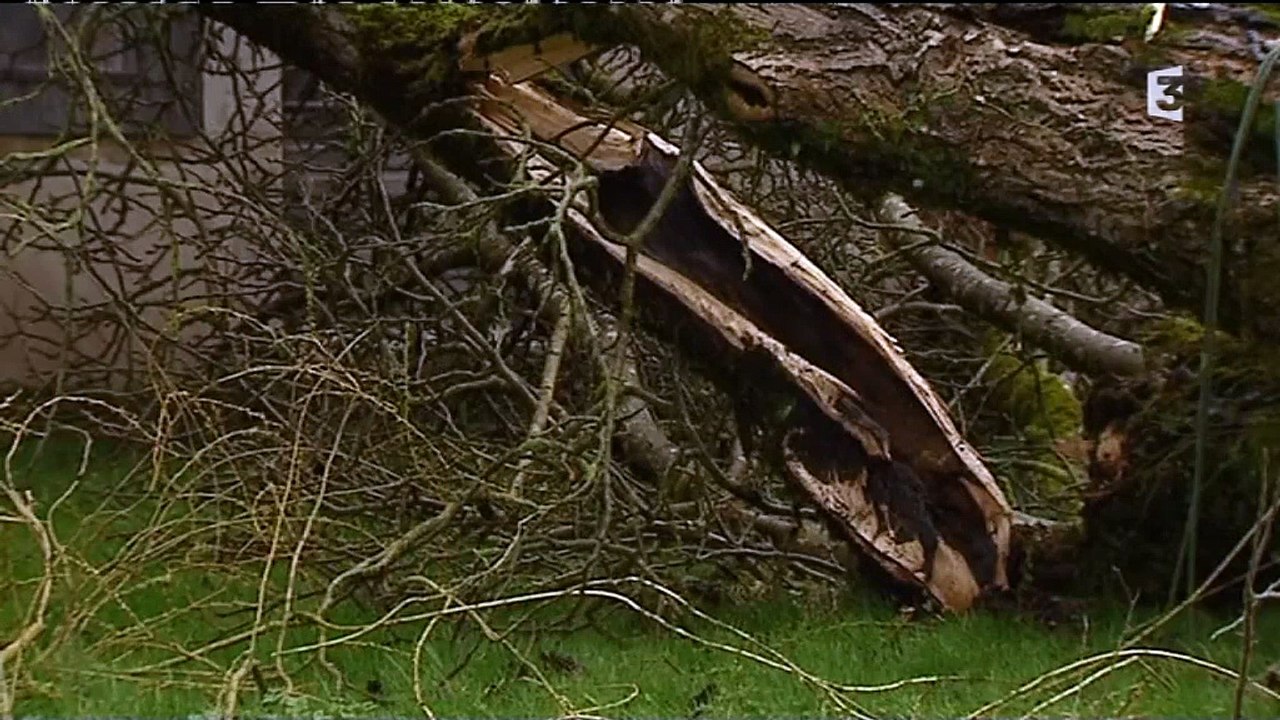 Drom (Ain) la tornade fait un blessé et beaucoup de dégâts -2