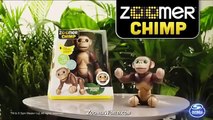 How to Play with your Zoomer Chomplingz!