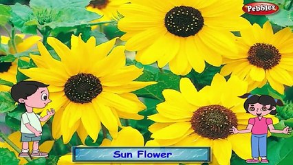 Los niños de Girasol Rima | Flor de Rimas para Niños | Jardín | canciones infantiles para Niños | Ful