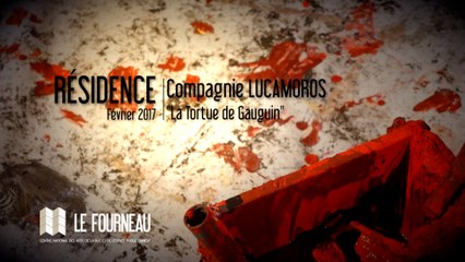 RÉSIDENCE 2017 : "La Tortue de Gauguin" - Cie Lucamoros