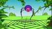 Minik Bir Örümcek   Bebek Şarkıları   Adisebaba TV Çizgi Film Çocuk Şarkıları 2016