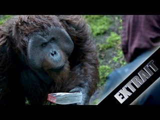 "Cours de Lecture" La Planète des Singes L'Affrontement - Extrait VF
