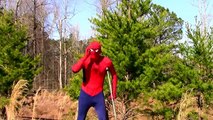 Pink Spidergirl vs Catwoman vs Spiderbaby: Spiderman baby kidnapped at park