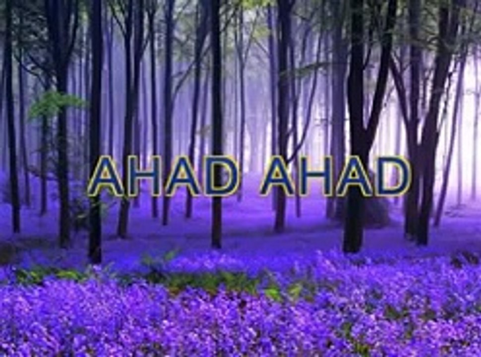 Micheal Jackson’s Sister Janet Jackson Accept Islam