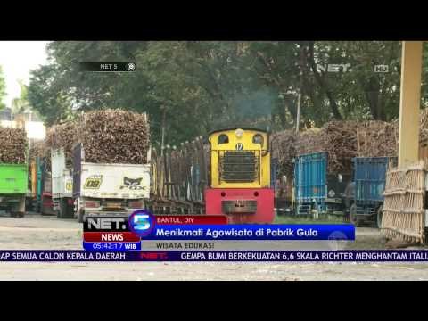 Wisata Edukasi Tentang Proses Produksi Gula di Pabrik Madukismo - NET5