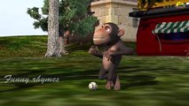 monkey Finger Family Nursery english 3d rhymes | Children Animated finger family song