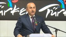 Bakan Çavuşoğlu: 