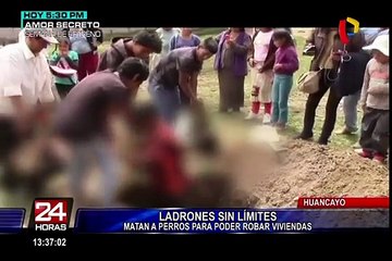Huancayo: ladrones matan a perros para robar viviendas