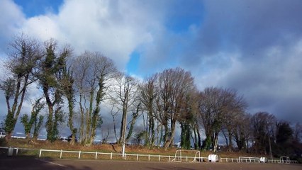 Tempête chez les poilus