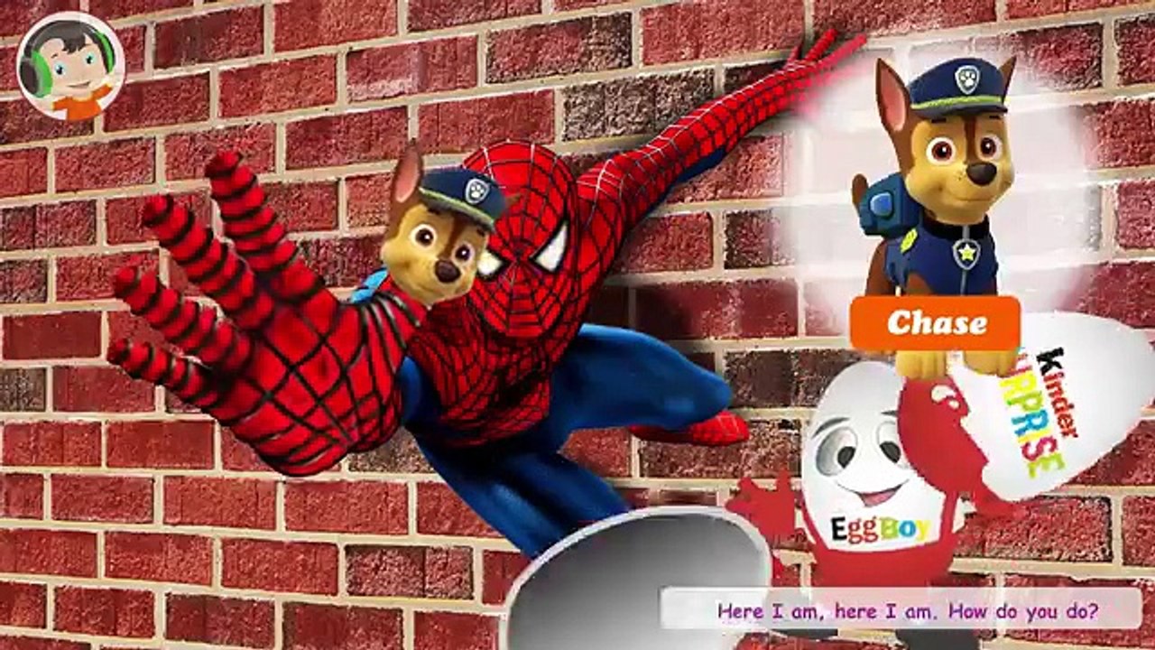 Paw Patrol Spiderman Finger Family Colours Learn Surprise Eggs Collection