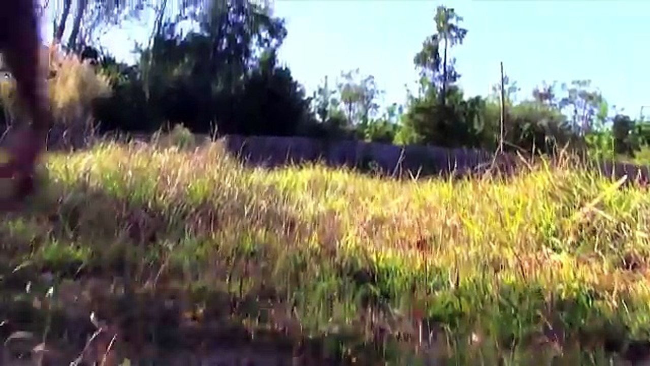 Shrimpo Hunter Episode 4
