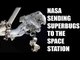 NASA is sending a superbug to the space station : Oneindia News