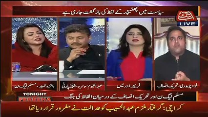 Debate Between Maiza Hameed And Fawad Chaudhary Over Hereditary Politics