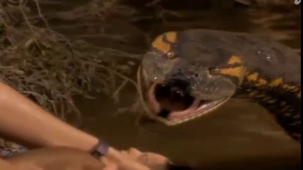 100.Kaa The Anaconda Top Horror Villains Antiheroes