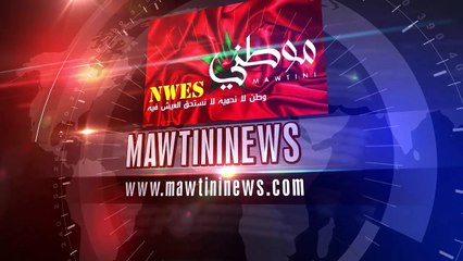 مدينة بنسليمان تحت إرهاب الكلاب الضالة