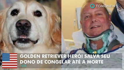 Golden Retriever herói salva seu dono de congelar até a morte.