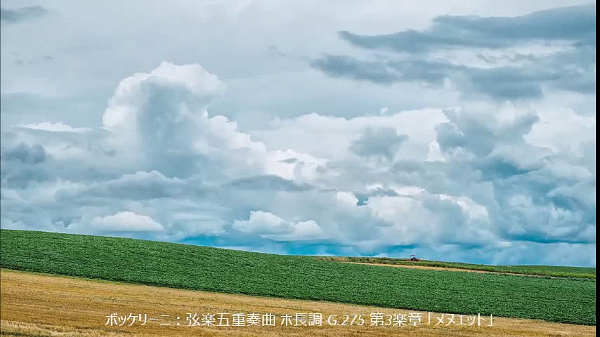 ボッケリーニ 弦楽五重奏曲 ホ長調 G 275 第3楽章 メヌエット Video Dailymotion