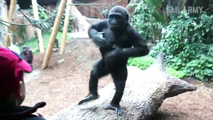 The Ultimate Funny Monkey Compilation - Monkey Fails by FailArmy REACTION!