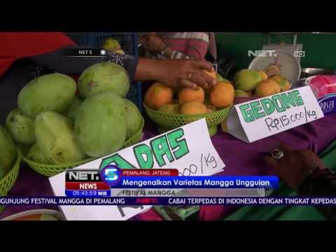 Festival Mangga Perkenalkan Varietas Buah Mangga Dari Pemalang, Jawa Tengah - NET5