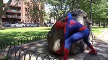 Человек-паук, Эльза, Анна и Джокер / корабль Приключения / Супергерои в Нью-Йорке