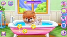 Kids Play Cutest Dog Game | Boo The Worlds Cutest Dog Gameplay video