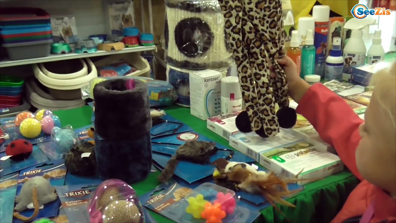 ✔ Выставка Кошечек! Игрушки для маленьких котят / Kitty and Yaroslava. A toy for little kitties ✔