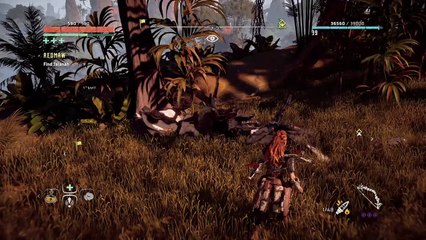 Horizon Zero Dawn™_20170308164948