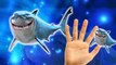 Sharks Children Finger Family Rhymes | Bambi Cartoons Finger Family Nursery Rhymes For Children