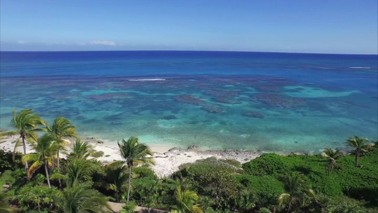 LE CLUB MED VOUS  SOUHAITE UNE  BONNE ANNEES 2017