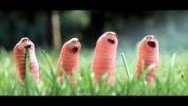 Funny worms - Funny cartoon humor