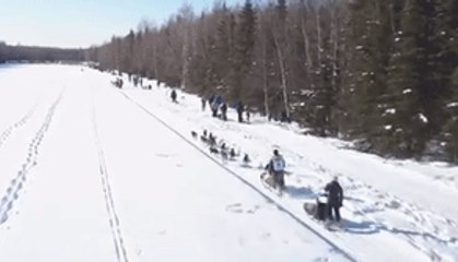 Mushers Dash Across Ice in Iditarod Ceremonial Start