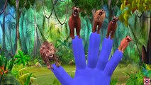 Colors Lion Vs Gorilla Finger Family Children Nursery Rhymes | Animal Cartoons Finger Family Songs