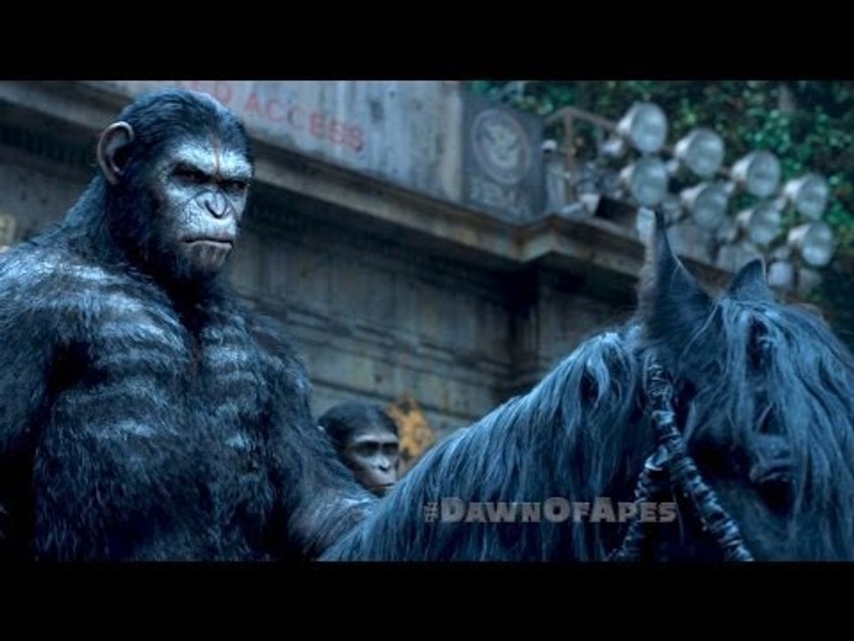 LA PLANETE DES SINGES : L'Affrontement : l'Histoire et l'Univers du Film