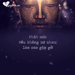 Clip Meaning - Buddha's Teaching