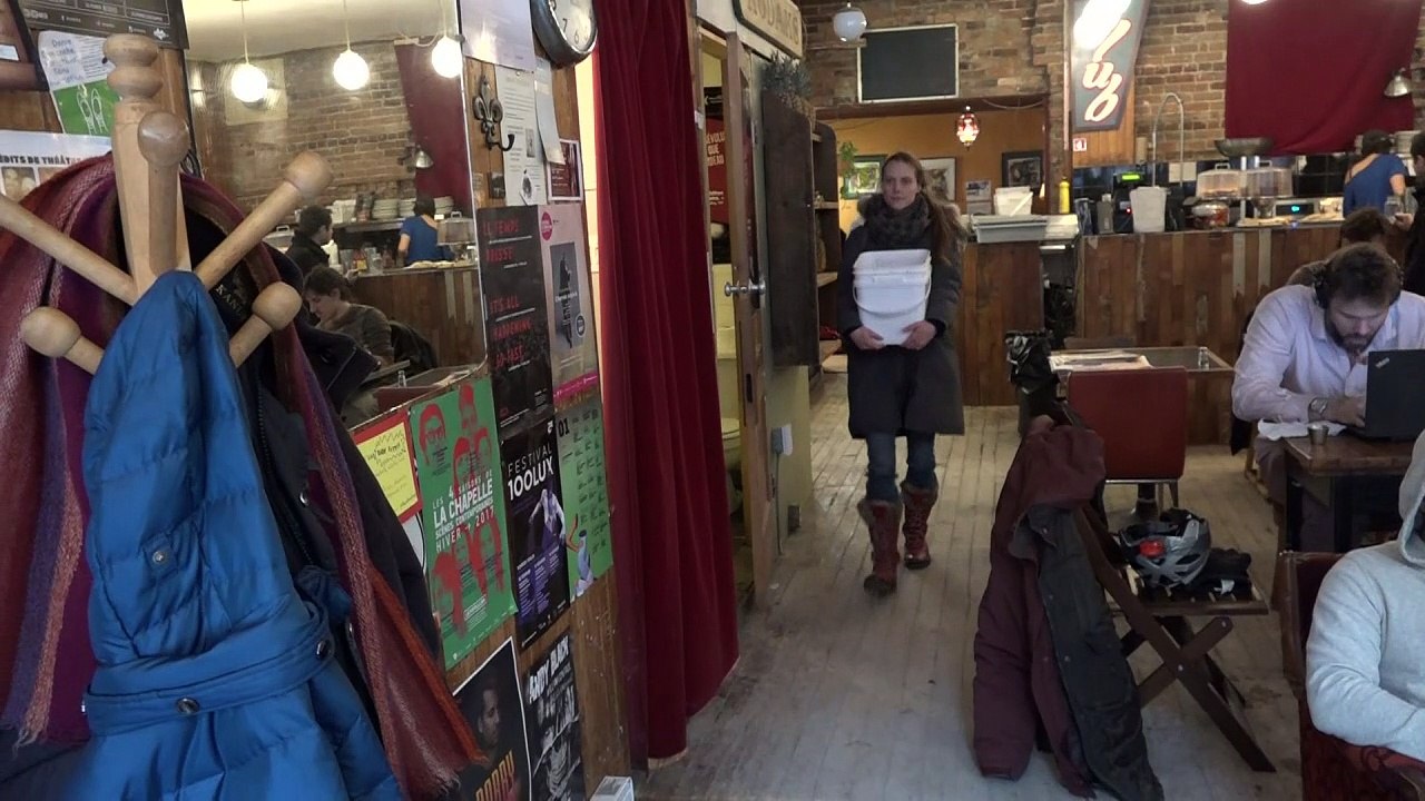 A Montréal, les pleurotes font tourner l'économie circulaire