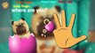 Secret Life Of Pets Easter Eggs Finger Family Nursery Rhymes #SecretLifeOfPets #FingerFamily Lyrics