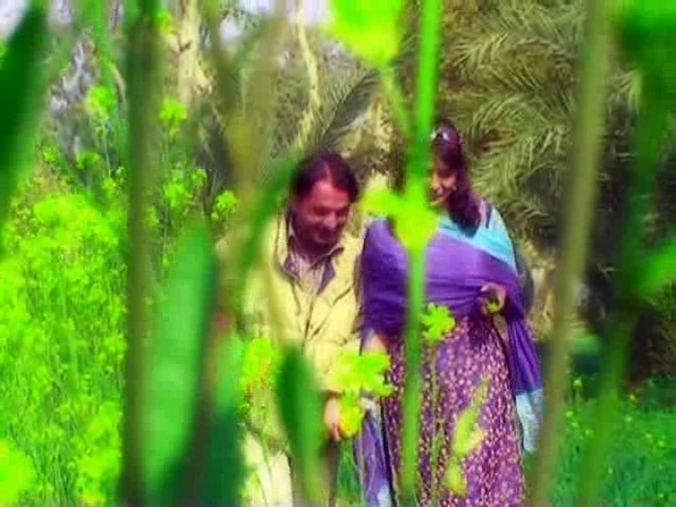 pakistani sad song hathein kya ayi dilbar iqbal lashari