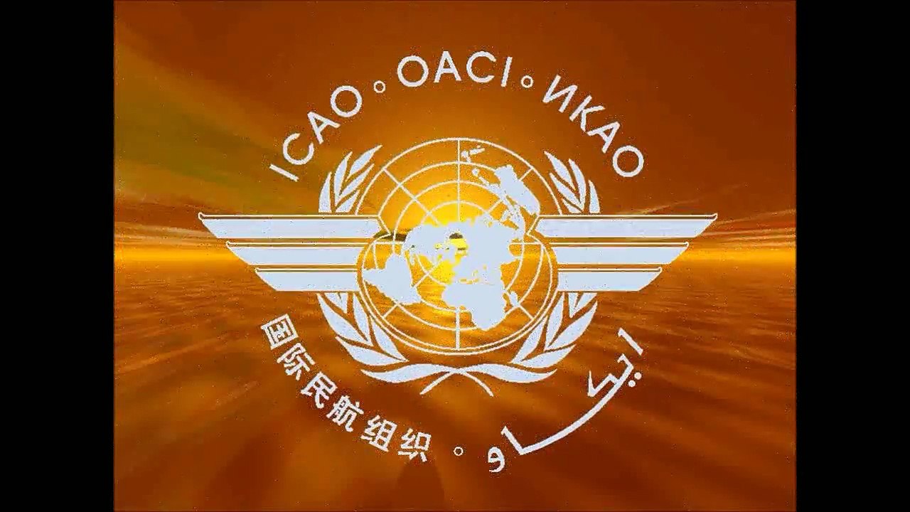 Aviación Civil Internacional y su organización con Efraín Jesús Rojas