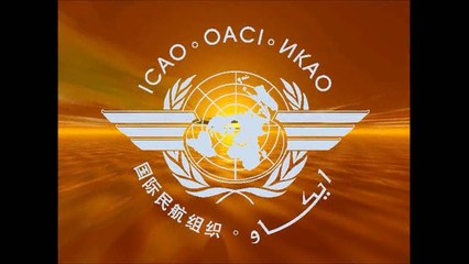 Aviación Civil Internacional y su organización con Efraín Jesús Rojas