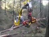 World most Amazing Videos -  Amazing tree cutting machine