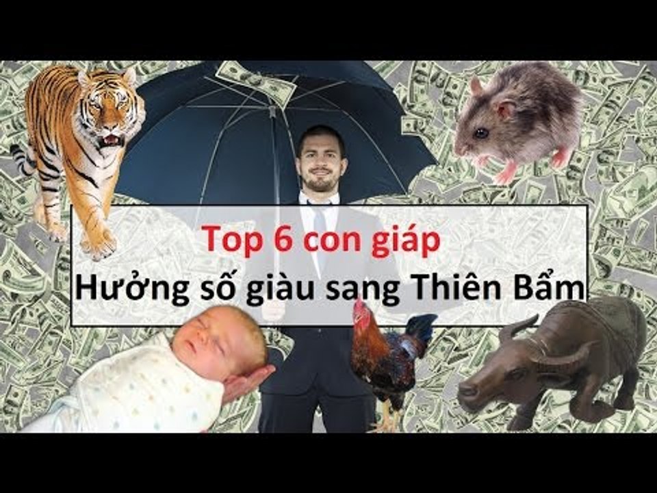 Top 6 con giáp hưởng số giàu sang thiên bẩm || Tâm Linh 24h
