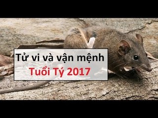 Tử vi và vận mệnh tuổi Tý năm 2017 về Tiền tài Sức khỏe và Tình duyên|| Tâm Linh24h