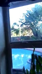 Ghost attack and Poltergeist Activity Caught on Tape!
